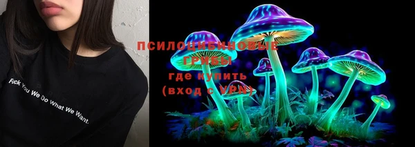 таблы Армянск