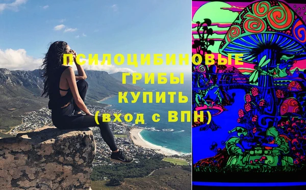 прущая мука Арсеньев