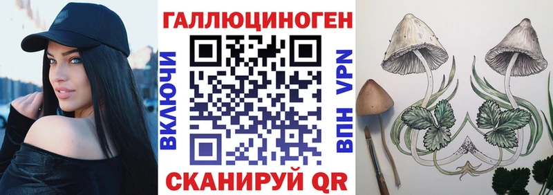 кракен вход  хочу наркоту  Кемерово  Псилоцибиновые грибы Psilocybe 